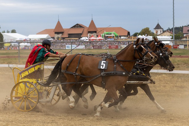 不得不提到 不得不提到