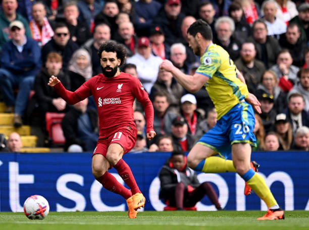 球迷心目中 球迷心目中